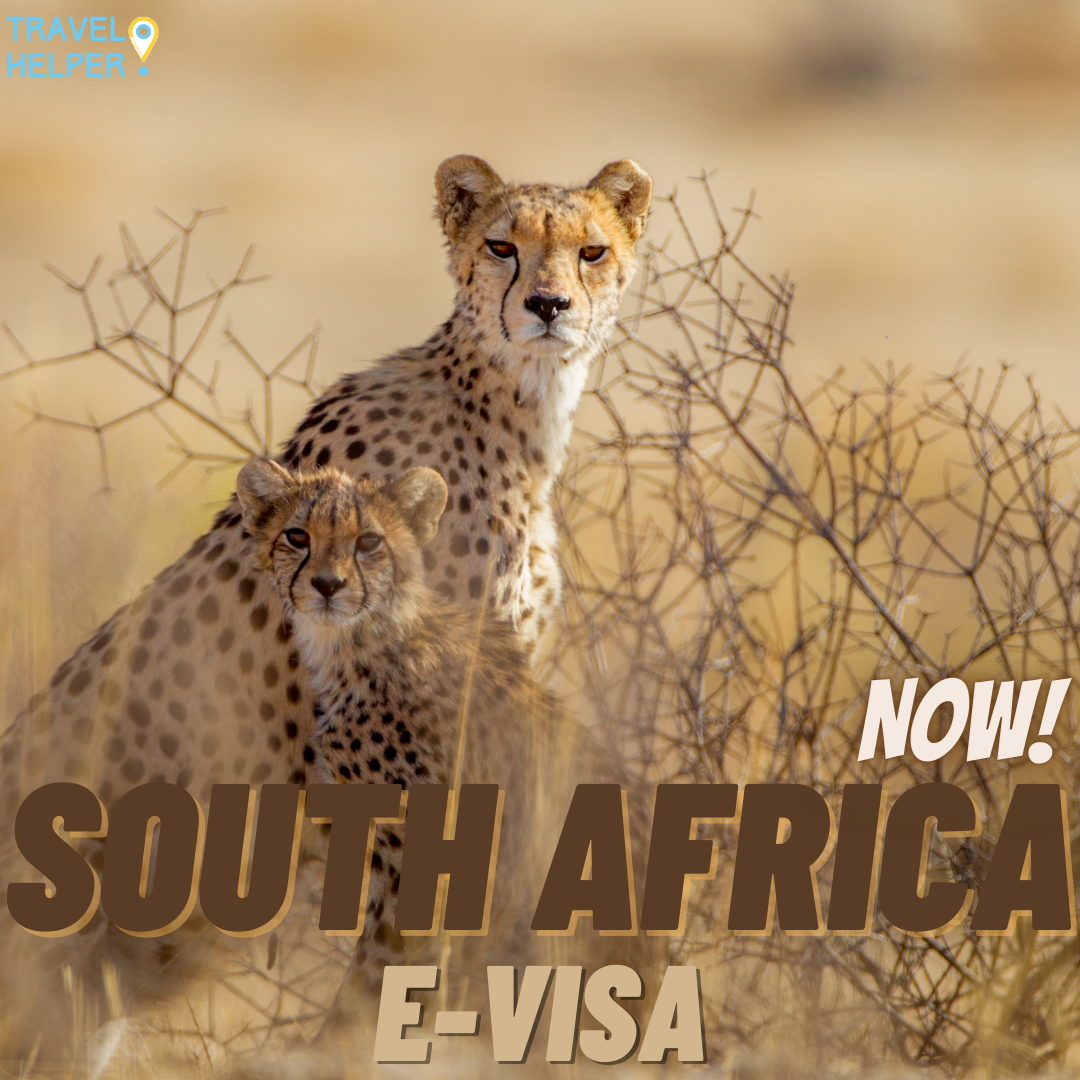 South Africa Visa TVSHelper Your Visa Consultant   E Visa 